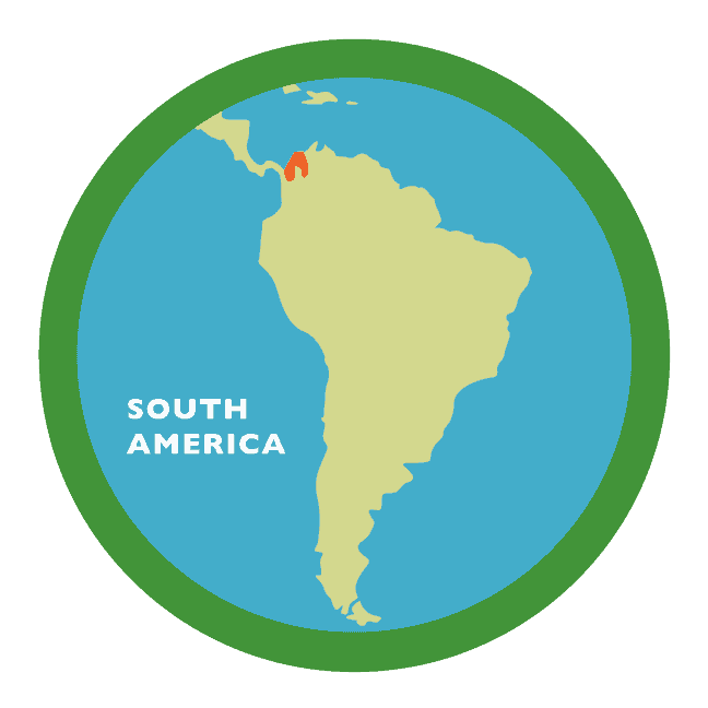 Cotton top Tamarin Map